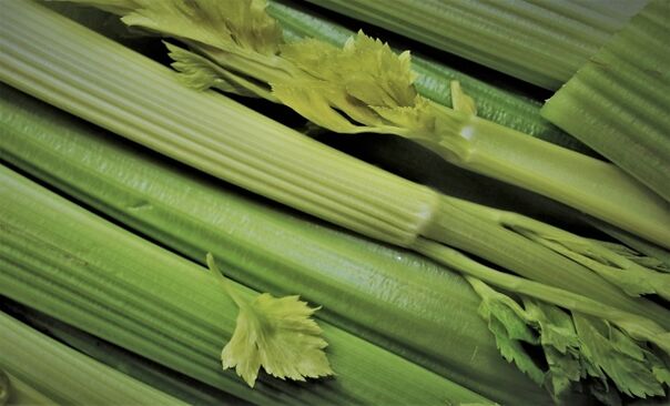 Celery containing aphrodisiac essential oils